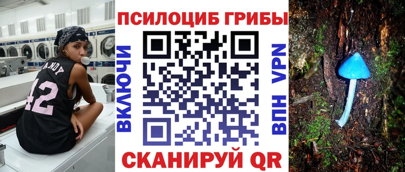 закладки  Щучье  Псилоцибиновые грибы ЛСД 