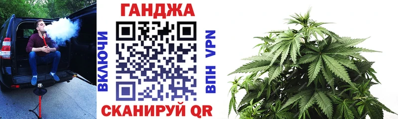 Конопля конопля Щучье